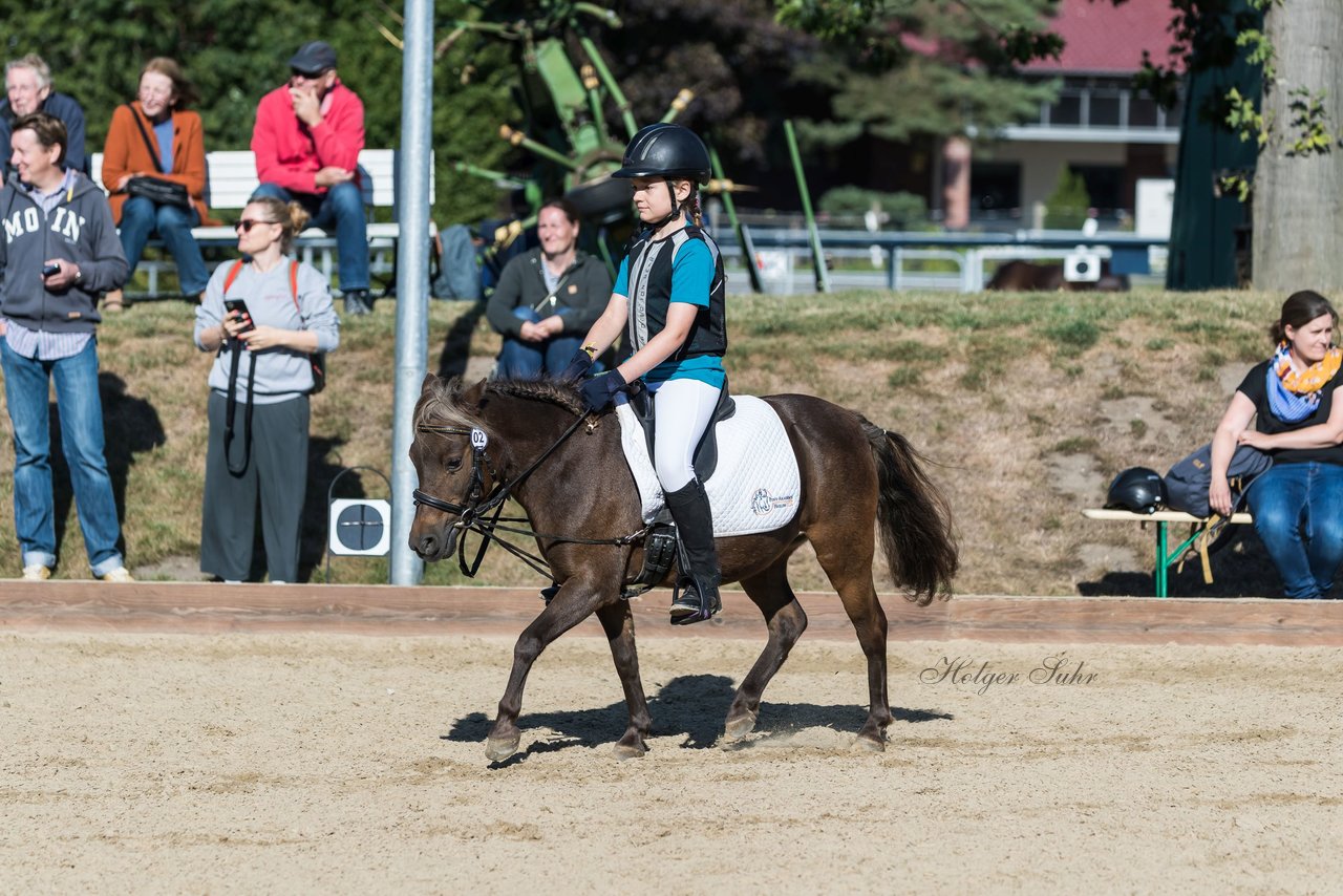 Bild 33 - Pony Akademie Turnier